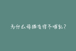 为什么母猫变得不哺乳?