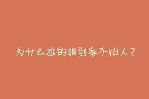 为什么捡的猫到家不怕人？