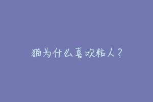 猫为什么喜欢粘人?