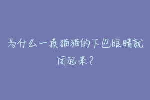 为什么一摸猫猫的下巴眼睛就闭起来?