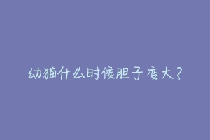 幼猫什么时候胆子变大?