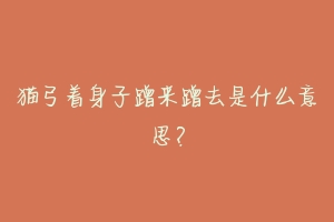 猫弓着身子蹭来蹭去是什么意思?