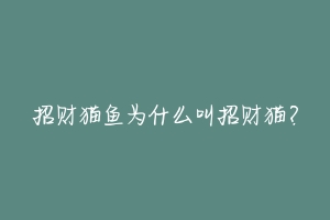 招财猫鱼为什么叫招财猫?