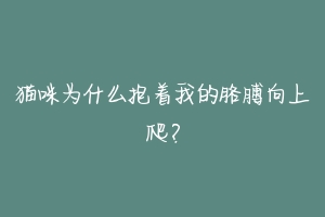 猫咪为什么抱着我的胳膊向上爬？