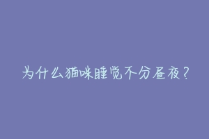 为什么猫咪睡觉不分昼夜?