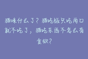 猫咪什么了?猫吃饭只吃两口就不吃了,猫吃东西不怎么有食欲?