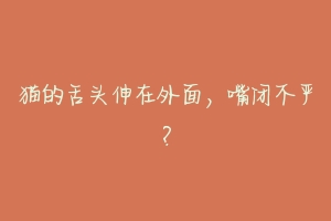 猫的舌头伸在外面,嘴闭不严?