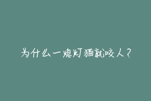 为什么一熄灯猫就咬人?