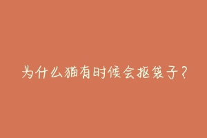 为什么猫有时候会抠袋子?