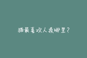 猫最喜欢人摸哪里?