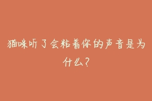 猫咪听了会粘着你的声音是为什么?