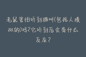 老鼠害怕听到猫叫(包括人模拟的)吗?它听到后会有什么反应?