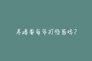 养鸡要每年打役苗吗?