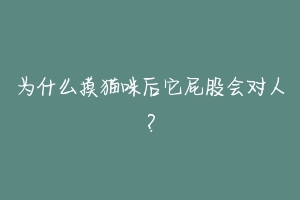 为什么摸猫咪后它屁股会对人?