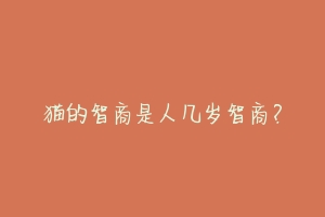 猫的智商是人几岁智商?
