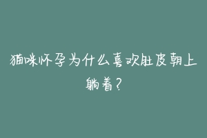 猫咪怀孕为什么喜欢肚皮朝上躺着?