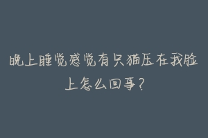 晚上睡觉感觉有只猫压在我脸上怎么回事?