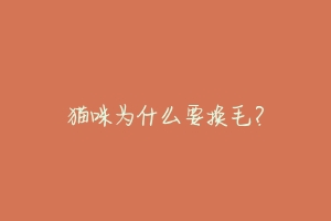 猫咪为什么要换毛?