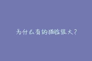 为什么有的猫脸很大?