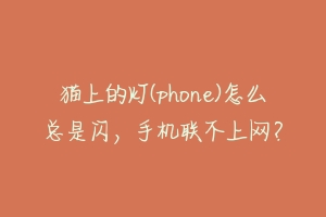 猫上的灯(phone)怎么总是闪,手机联不上网?