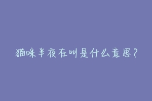 猫咪半夜在叫是什么意思？