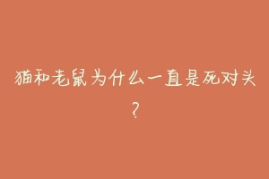 猫和老鼠为什么一直是死对头?