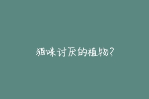 猫咪讨厌的植物?