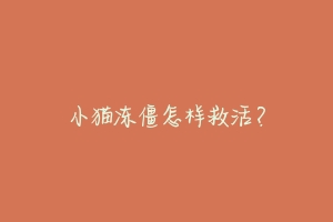 小猫冻僵怎样救活?
