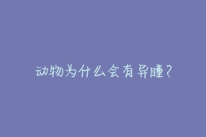 动物为什么会有异瞳?