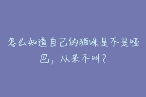 怎么知道自己的猫咪是不是哑巴,从来不叫?