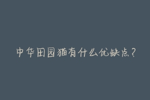 中华田园猫有什么优缺点?