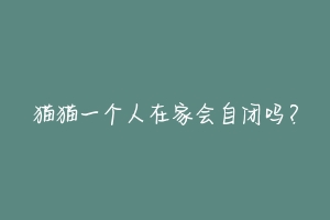 猫猫一个人在家会自闭吗?