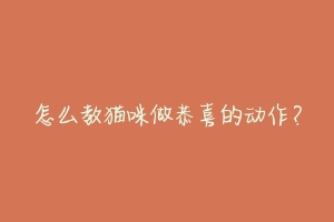 怎么教猫咪做恭喜的动作？