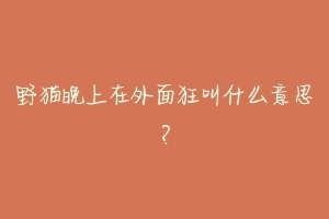 野猫晚上在外面狂叫什么意思?