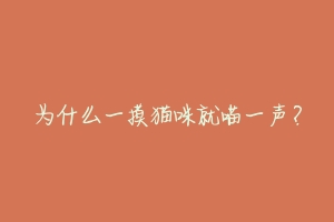 为什么一摸猫咪就喵一声?