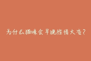为什么猫咪会早晚性情大变?