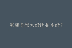 买猫月份大好还是小好?