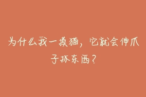 为什么我一摸猫,它就会伸爪子抓东西?
