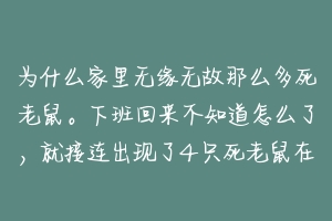 为什么家里无缘无故那么多死老鼠。下班回来不知道怎么了,就接连出现了4只死老鼠在不同地方。求解?