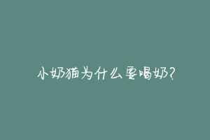 小奶猫为什么要喝奶?