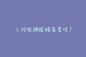 人对视猫眼睛有害吗？
