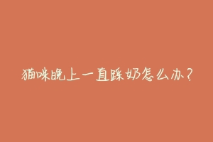 猫咪晚上一直踩奶怎么办?
