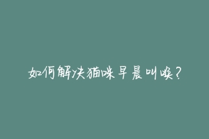 如何解决猫咪早晨叫唤?
