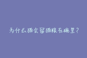 为什么猫会留猫粮在碗里?