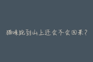猫咪跑到山上还会不会回来?