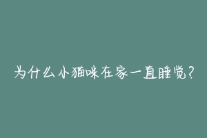 为什么小猫咪在家一直睡觉?