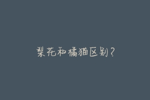 梨花和橘猫区别?