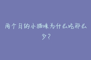 两个月的小猫咪为什么吃那么少?