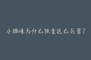 小猫咪为什么独食这么厉害?