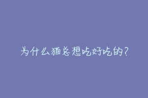 为什么猫总想吃好吃的？